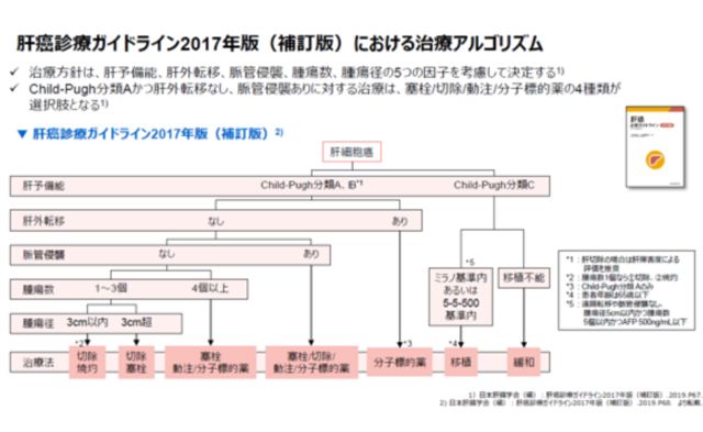 肝がん診療ガイドライン2017年版における治療アルゴリズム