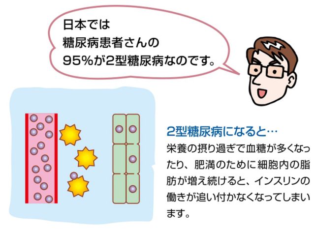 2型糖尿病についての解説イラスト