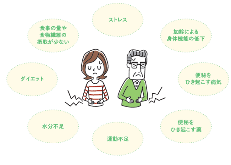 便秘の原因イラスト